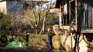 ფერმა 2019 01 06.mp4_20190106_131740.653