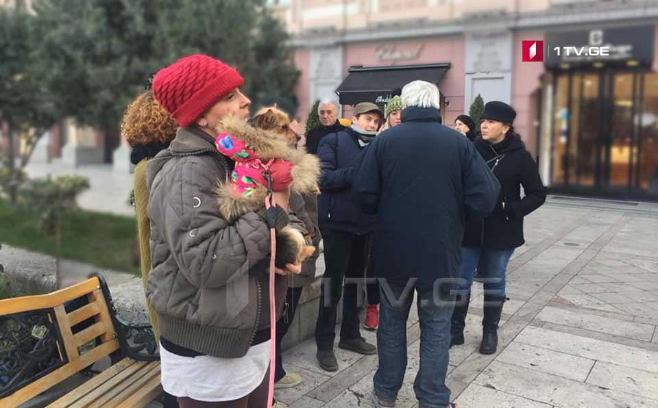 Heyvanların hüquqlarını müdafiə edənlər Sakrebulo önündə etiraz aksiyası keçirdilər