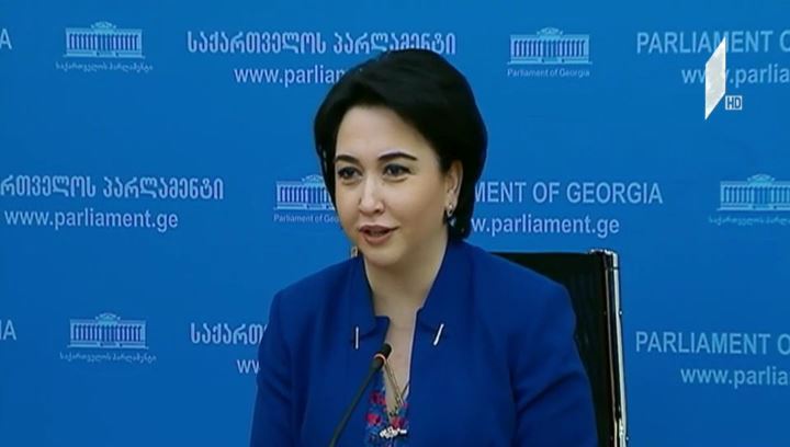 ეკა ბესელიას ბრიფინგი