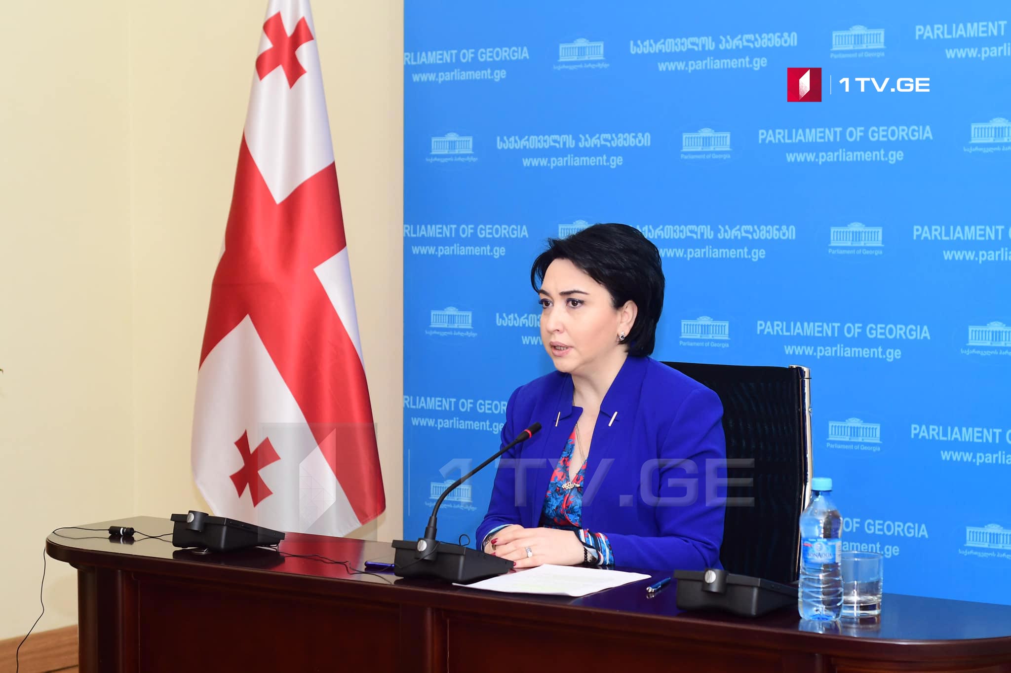 ეკა ბესელია საკონსტიტუციო ცვლილებებისთვის პოლიტიკურ ჯგუფებთან კონსულტაციებსა და ხელმოწერების შეგროვებას იწყებს