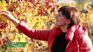 ფერმა 2019 01 20 დასაჭრელი.mp4_20190120_141841.482