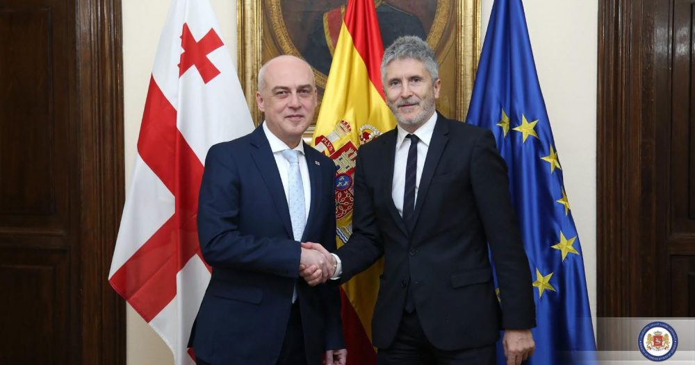 დავით ზალკალიანი ესპანეთის შინაგან საქმეთა მინისტრს შეხვდა