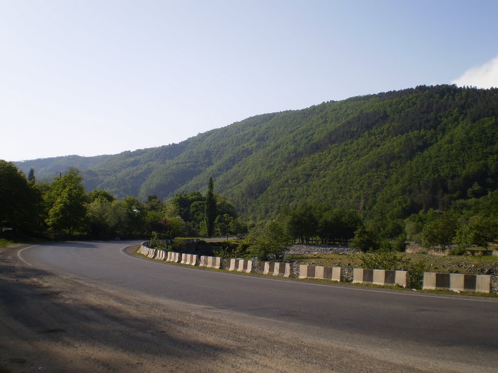 7-9 მაისს რიკოთის გვირაბში მოძრაობა დროებით შეიზღუდება