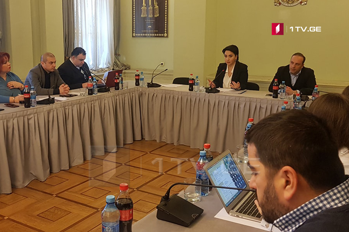 ეკა ბესელია არასამთავრობო ორგანიზაციების წარმომადგენლებს შეხვდა