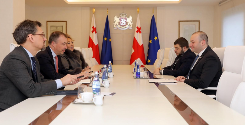მამუკა ბახტაძე ევროკავშირის სპეციალურ წარმომადგენელს ტოივო კლაარს შეხვდა