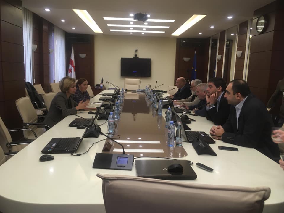 ნაზი ჯანეზაშვილი და ანა დოლიძე ექპერტებსა და ანალიტიკოსებს შეხვდნენ
