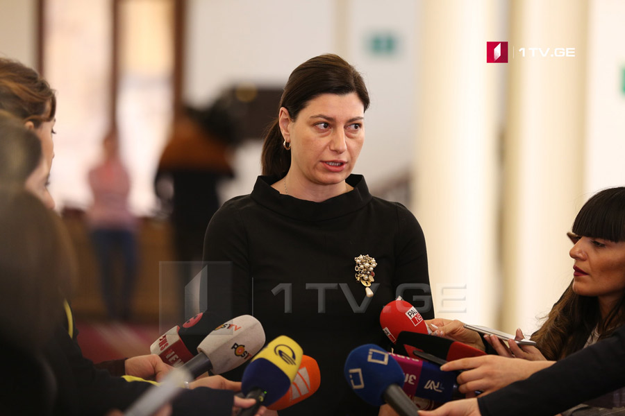 Софио Кацарава - Подготовка еще одной резолюции в Конгрессе является проявлением поддержки Грузии