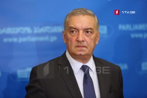 გია ვოლსკი – საქართველოსთან მიმართებით ვხედავთ მიკერძოებულ დამოკიდებულებას, რადგან ჩვენ არც საგარეო კურსი შეგვიცვლია და არც პოზიციები