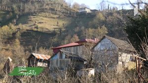 ფერმა 2019 02 10.mp4_20190212_171549.032