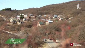 ფერმა 2019 02 10.mp4_20190212_175636.378