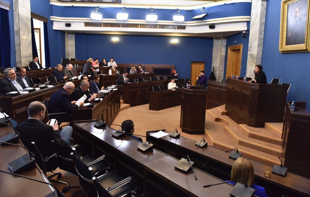საგარეო ურთიერთობათა კომიტეტი 2019 წლის სამოქმედო გეგმას დაამტკიცებს