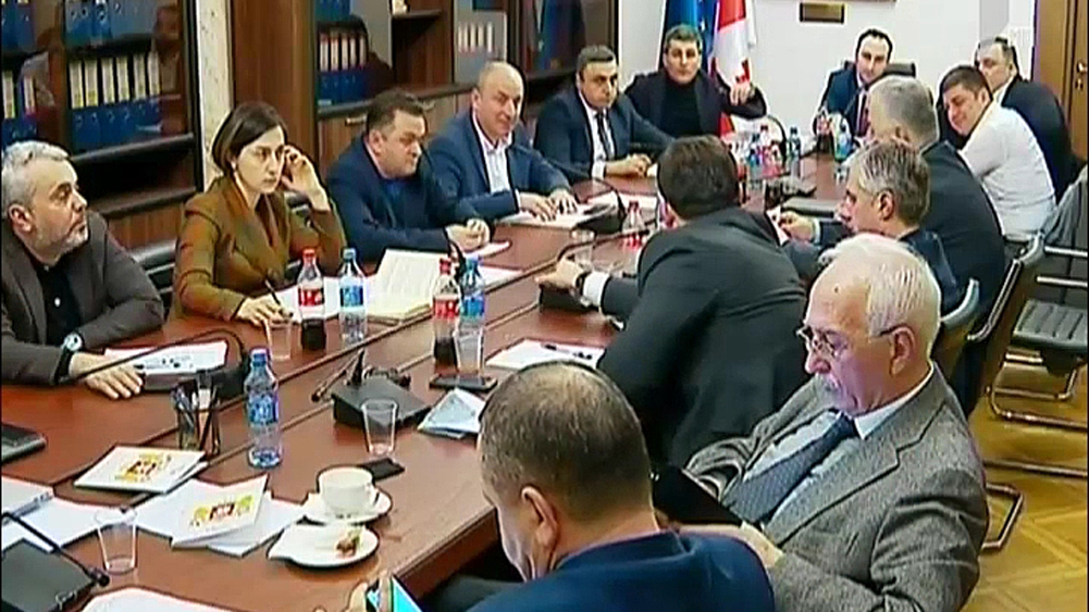 ცხრა დეპუტატის ინიციატივა და განსხვავებული პოზიციები  