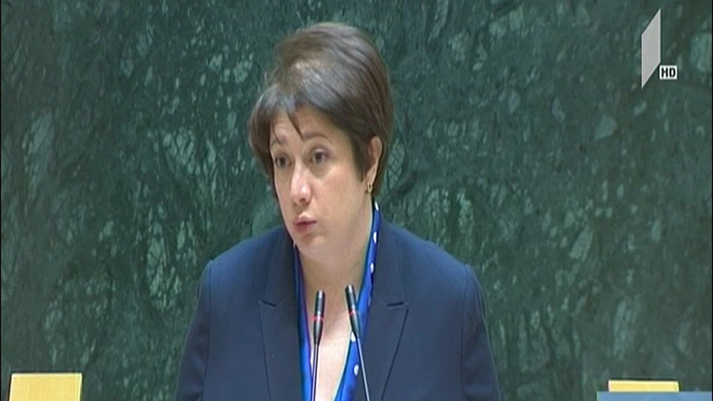 მაია ცქიტიშვილი დეპუტატების შეკითხვებს პასუხობს