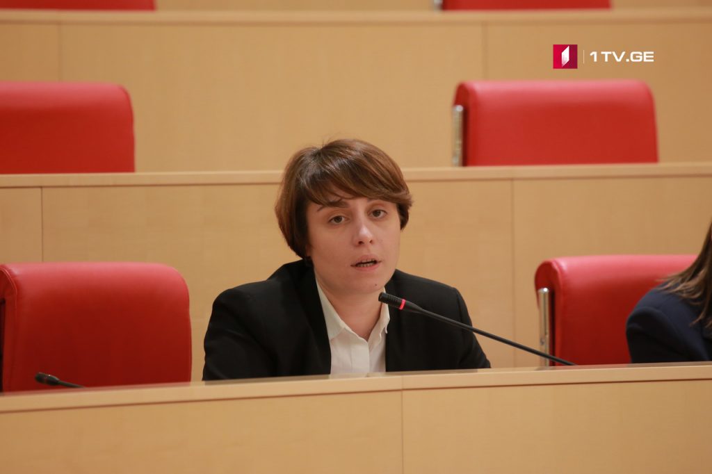 ფრაქციის სხდომაზე ელენე ხოშტარიამ გიორგი გახარიასადმი მაკო გომურის კითხვა წაიკითხა