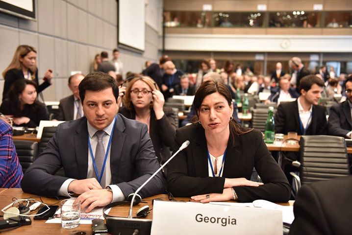 სოფიო ქაცარავა - ოკუპირებული ტერიტორიების საკითხი ეუთო-ს დღის წესრიგში მომავალშიც ისე მაღლა უნდა იდგეს, როგორც ახლაა