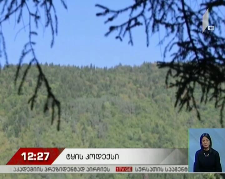 ტყის ახალი კოდექსი