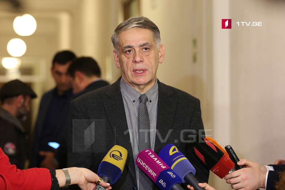Roman Kakulia explains reason why committee sitting ended
