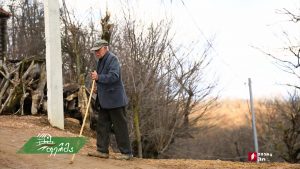 ფერმა 03 10 2019.mp4_20190310_130841.133