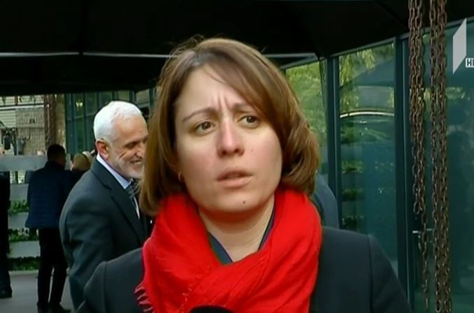„ევროპული საქართველოს“ ინიციატივა