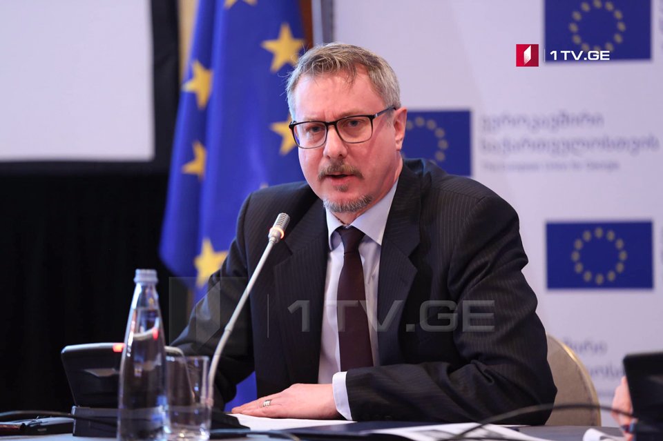 Carl Hartzell: It is important now for the Russian Federation to provide all necessary evidence to Georgian authorities regarding the circumstances of  Irakli Kvaratskhelia's death