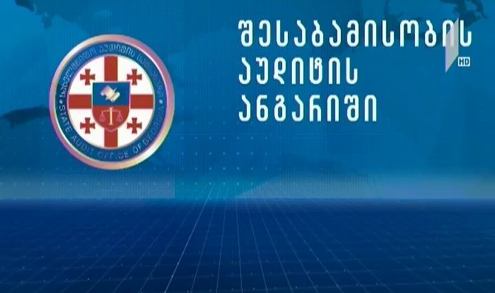 აუდიტის დასკვნა