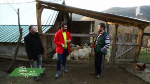ფერმა 03 17 2019.mp4_20190317_125529.120