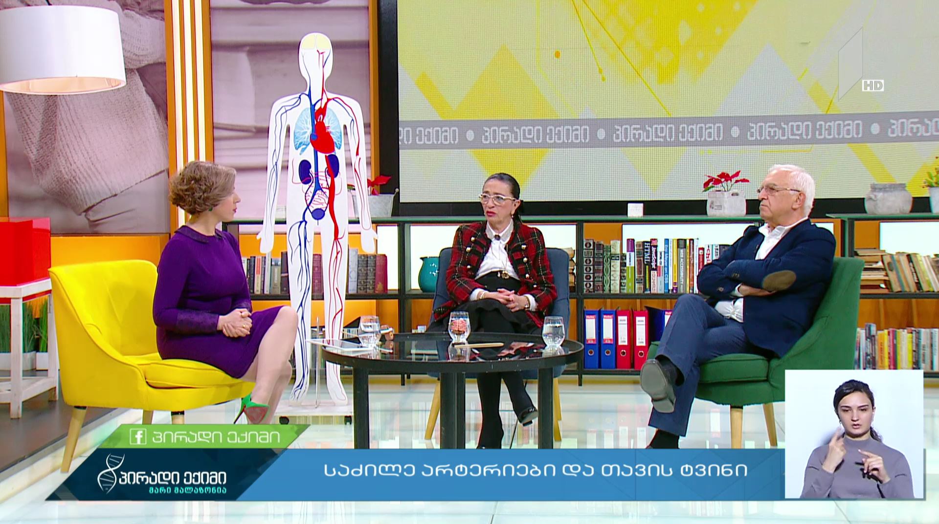 საძილე არტერიები და თავის ტვინი #LIVE