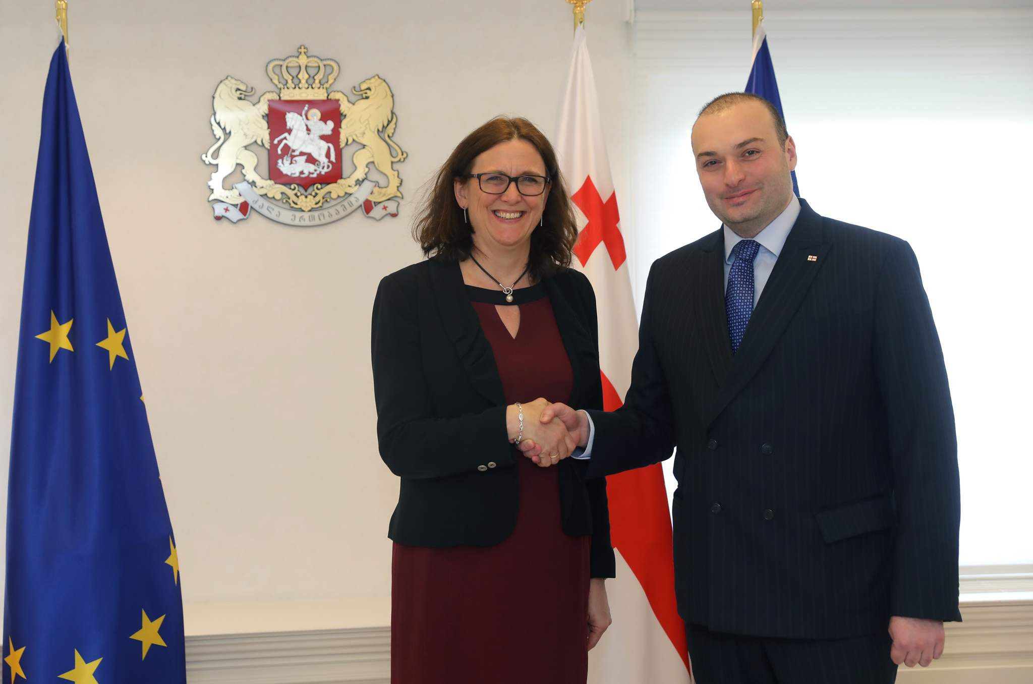 მამუკა ბახტაძე ევროკომისარ სესილია მალმსტრომს შეხვდა