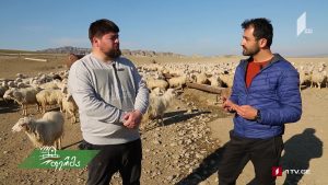ფერმა 03 24 2019.mp4_20190324_124440.044