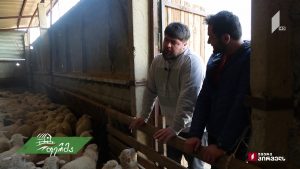 ფერმა 03 24 2019.mp4_20190324_124513.020