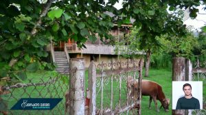 dgegrzelobis_istoria.mp4_20190325_164744.486