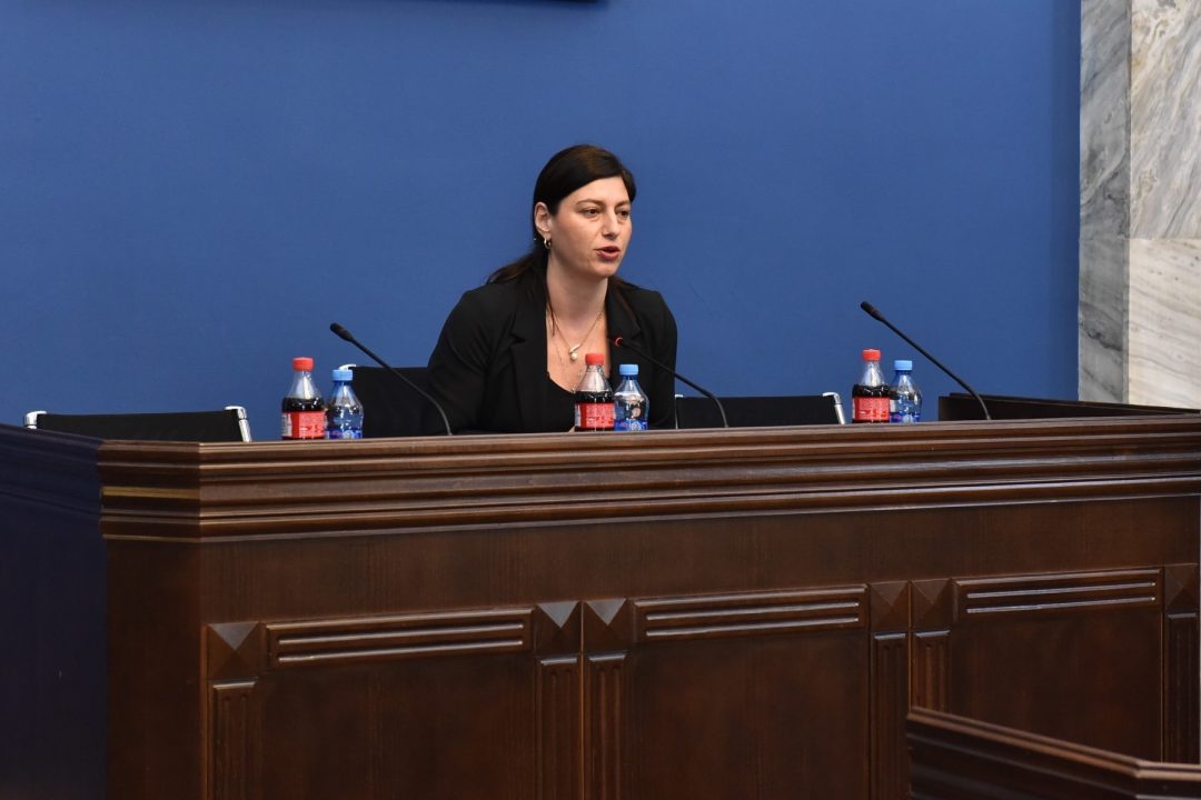 საგარეო კომიტეტი ეუთო-სა და ნატო-ს საპარლამენტო ასამბლეებში საქართველოს მუდმივმოქმედი დელეგაციების საქმიანობის ანგარიშს მოისმენს