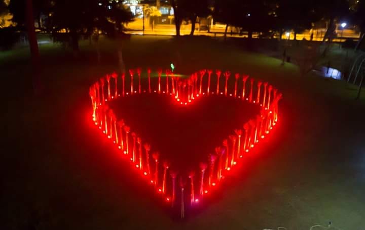 ბათუმის ცენტრალურ პარკში „სიყვარულის ხეივანი“ წითლად განათდა