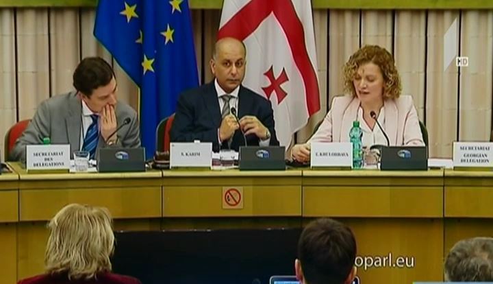 საქართველო-ევროკავშირის ასოცირების საპარლამენტო კომიტეტის სხდომა