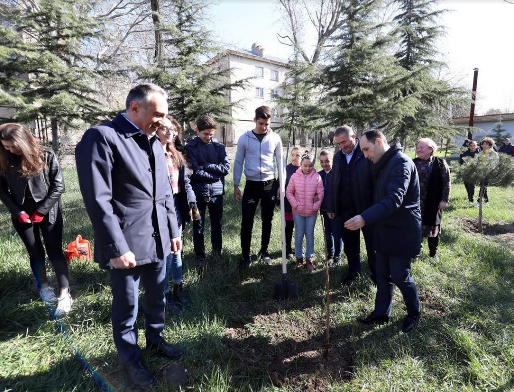 განათლების სამინისტრო თბილისისა და რუსთავის სკოლებში 5500 ხეხილის ნერგის დარგვას გეგმავს