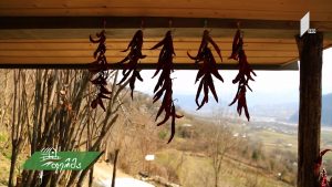 ფერმა 03 31 2019.mp4_20190331_134936.036