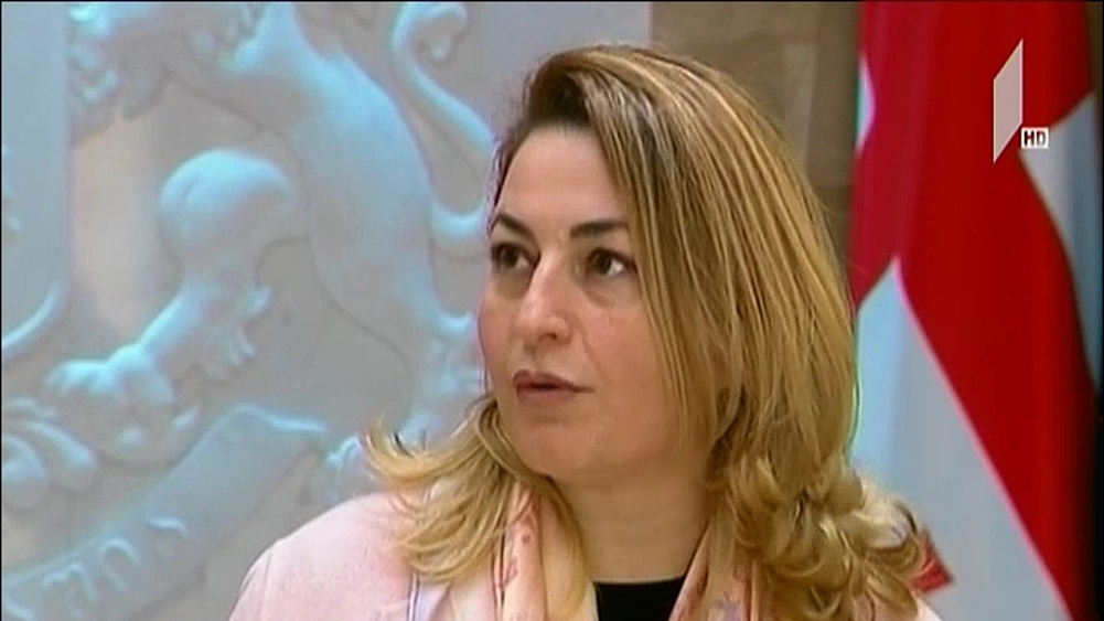 მიმართვა მთავრობას