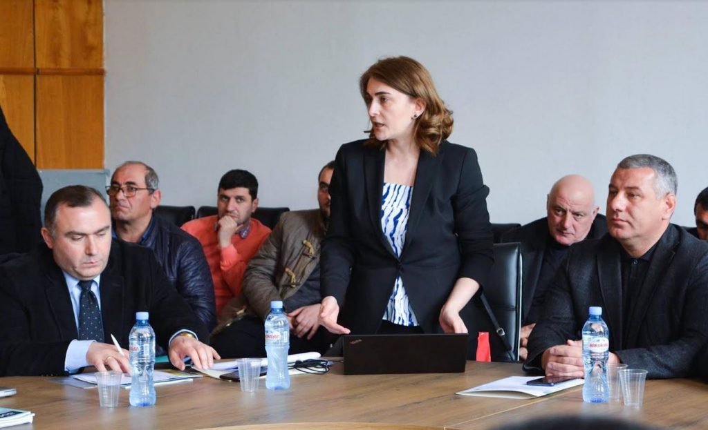 რეგიონებში მაღალმთიანი დასახლებების განვითარების სტრატეგიის პროექტის განხილვა დაიწყო