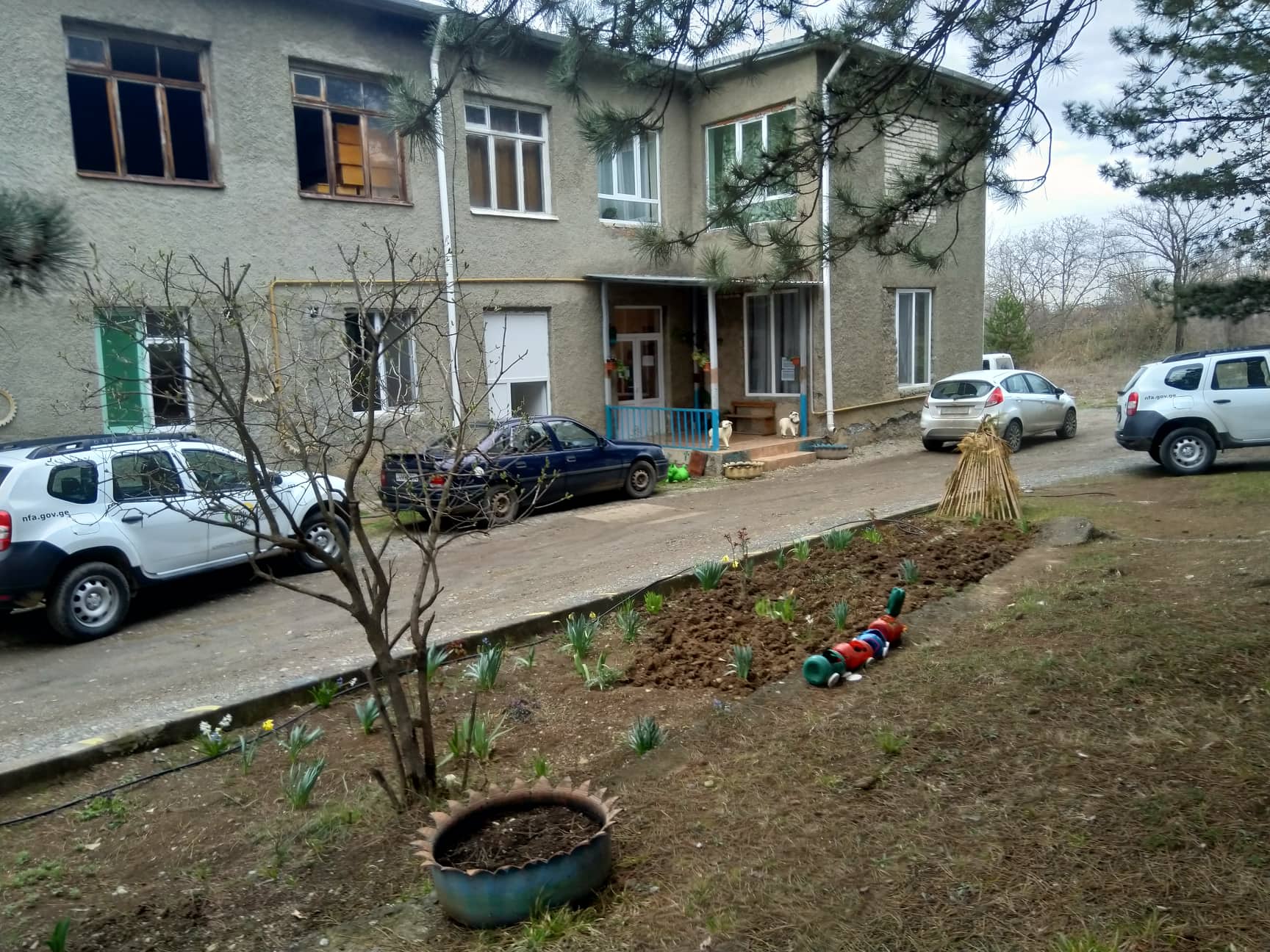 თელავის ბაღების მართვის სააგენტოში ვარაუდობენ, რომ სოფელ ბუშეტის საბავშვო ბაღის აღსაზრდელების ინტოქსიკაციის მიზეზი წყალია