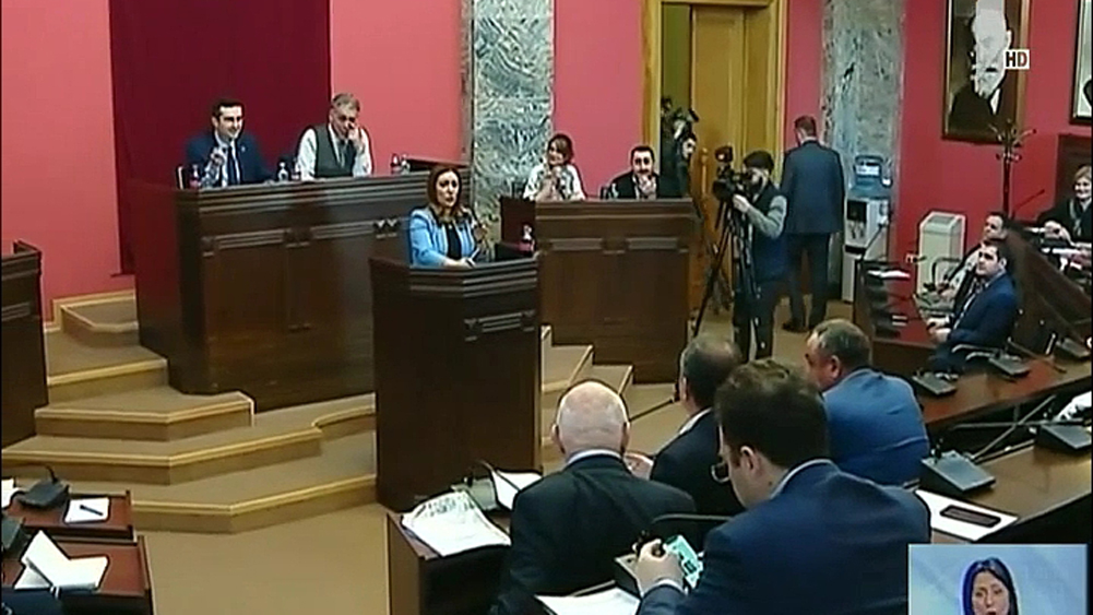 კამათი კომიტეტების გაერთიანებულ სხდომაზე