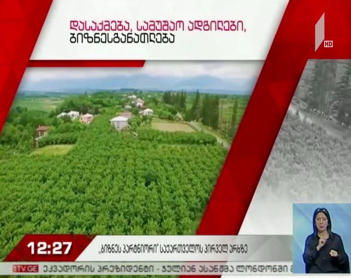 „ბიზნესპარტნიორი“ - პირველ არხზე ახალი პროექტი იწყება