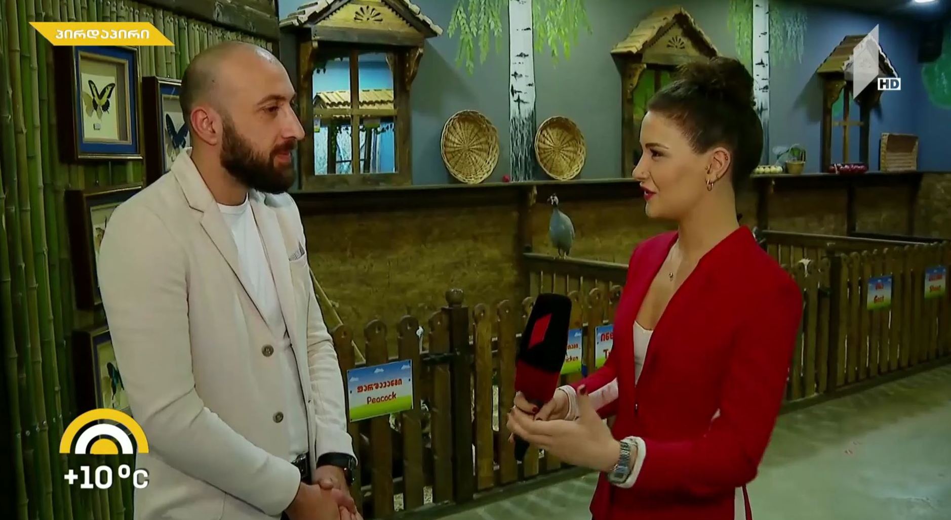 პირდაპირი რეპორტაჟი კონტაქტური ზოოპარკიდან