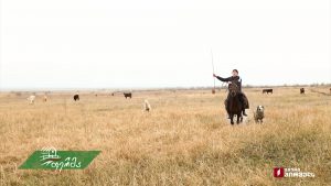 ფერმა 04 21 2019.mp4_20190421_131532.401