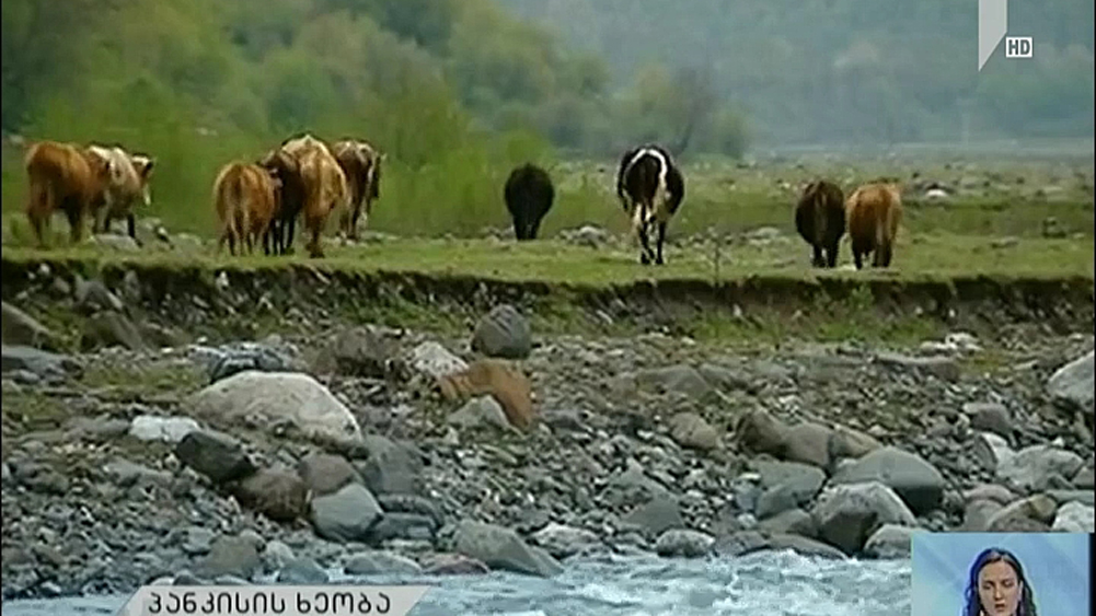 რა შედეგით დასრულდა შეხვედრა პანკისში