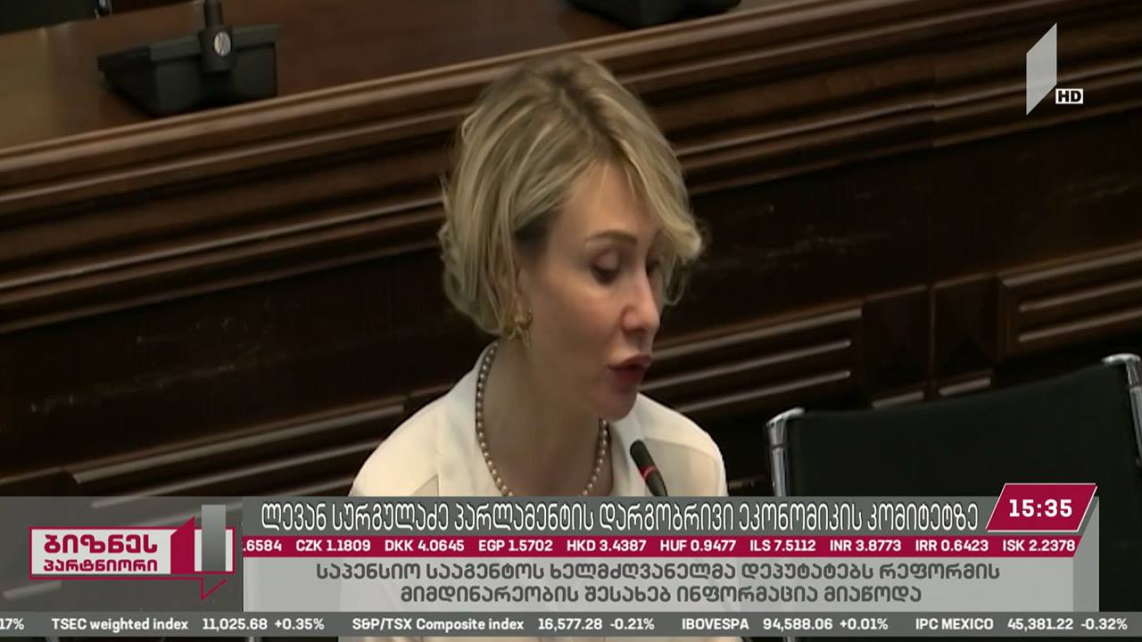 საპენსიო სააგენტოს დირექტორი დარგობრივი ეკონომიკის კომიტეტზე