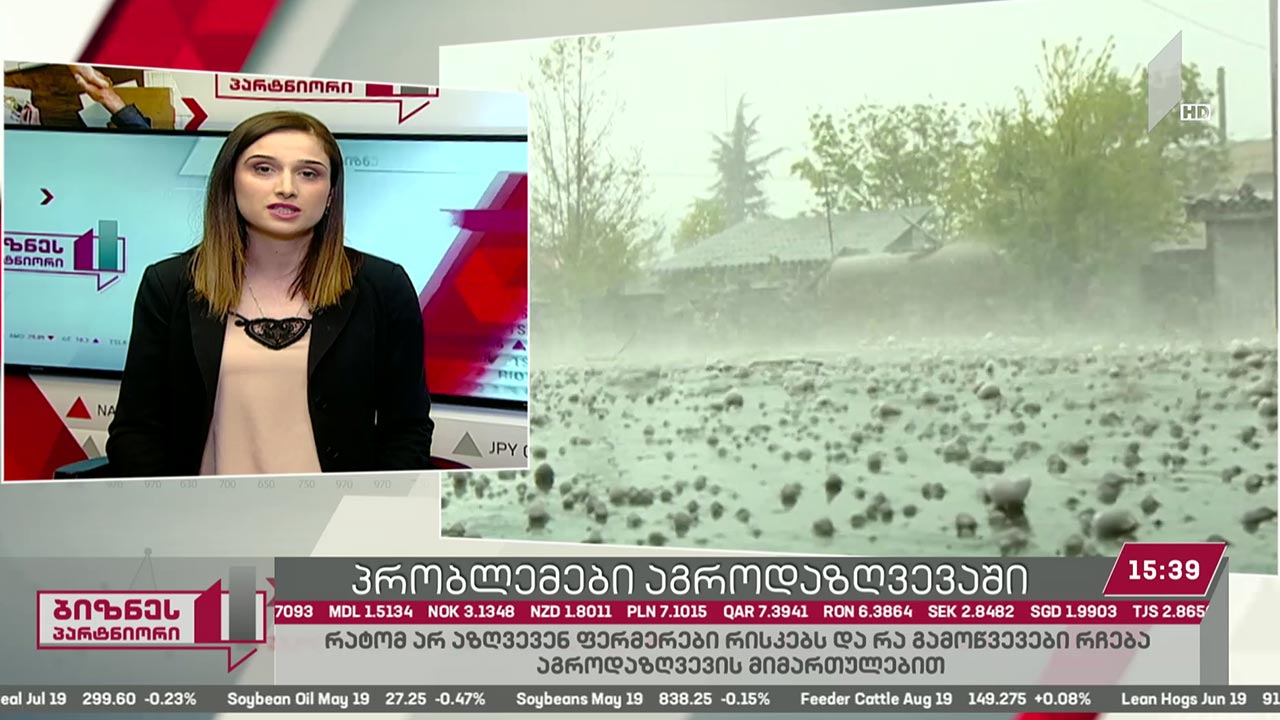 პრობლემები აგროდაზღვევაში
