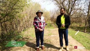 ფერმა 05 05 2019.mp4_20190505_125251.641