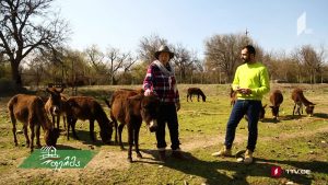 ფერმა 05 05 2019.mp4_20190505_125445.558