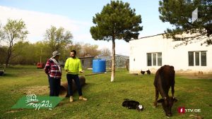 ფერმა 05 05 2019.mp4_20190505_125551.193
