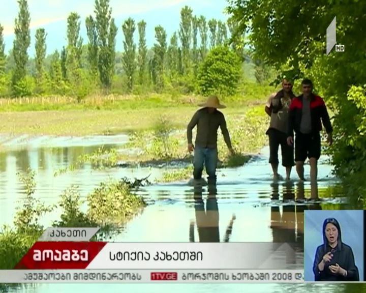 კახეთში სტიქიის შედეგებს ებრძვიან